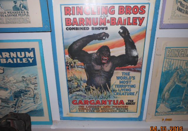 Framed Ringling Bros and Barnum and Bailey circus posters